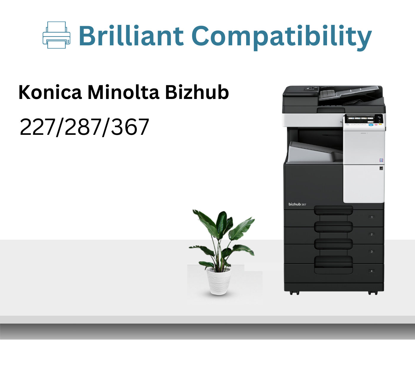 Print Page TN 323 Toner Cartridge (1 pcs)